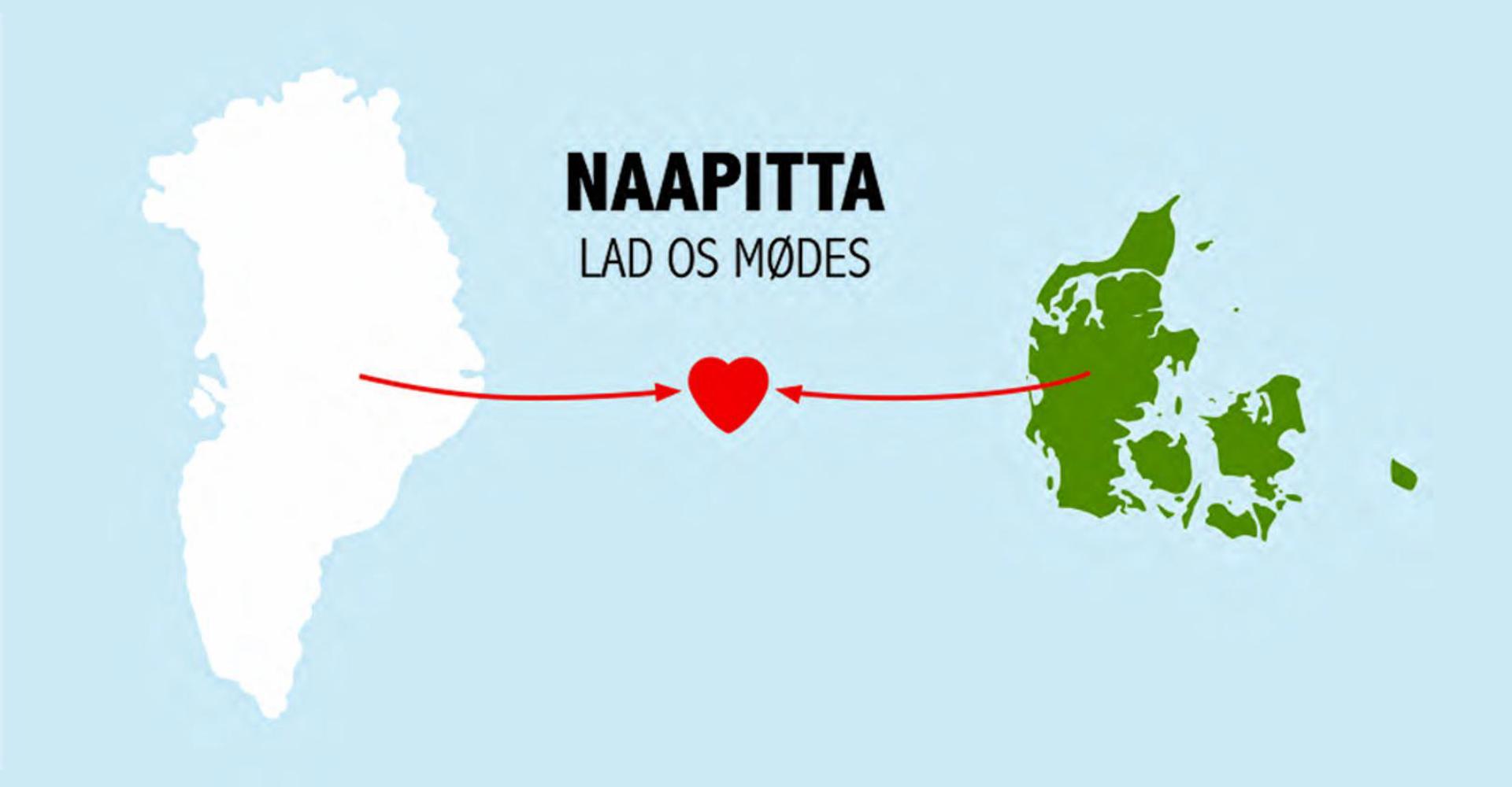 Logo Naapitta Instagram FINAL