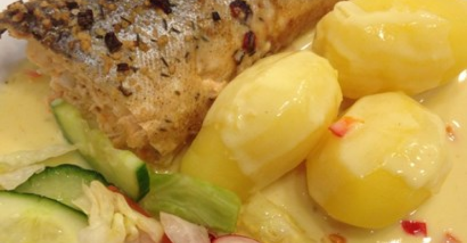 Fisk 1030X500